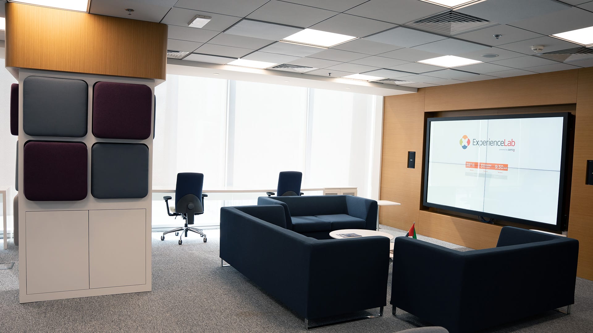 Office Project_Serco 42 DSC07927 Hudson Design & Interior